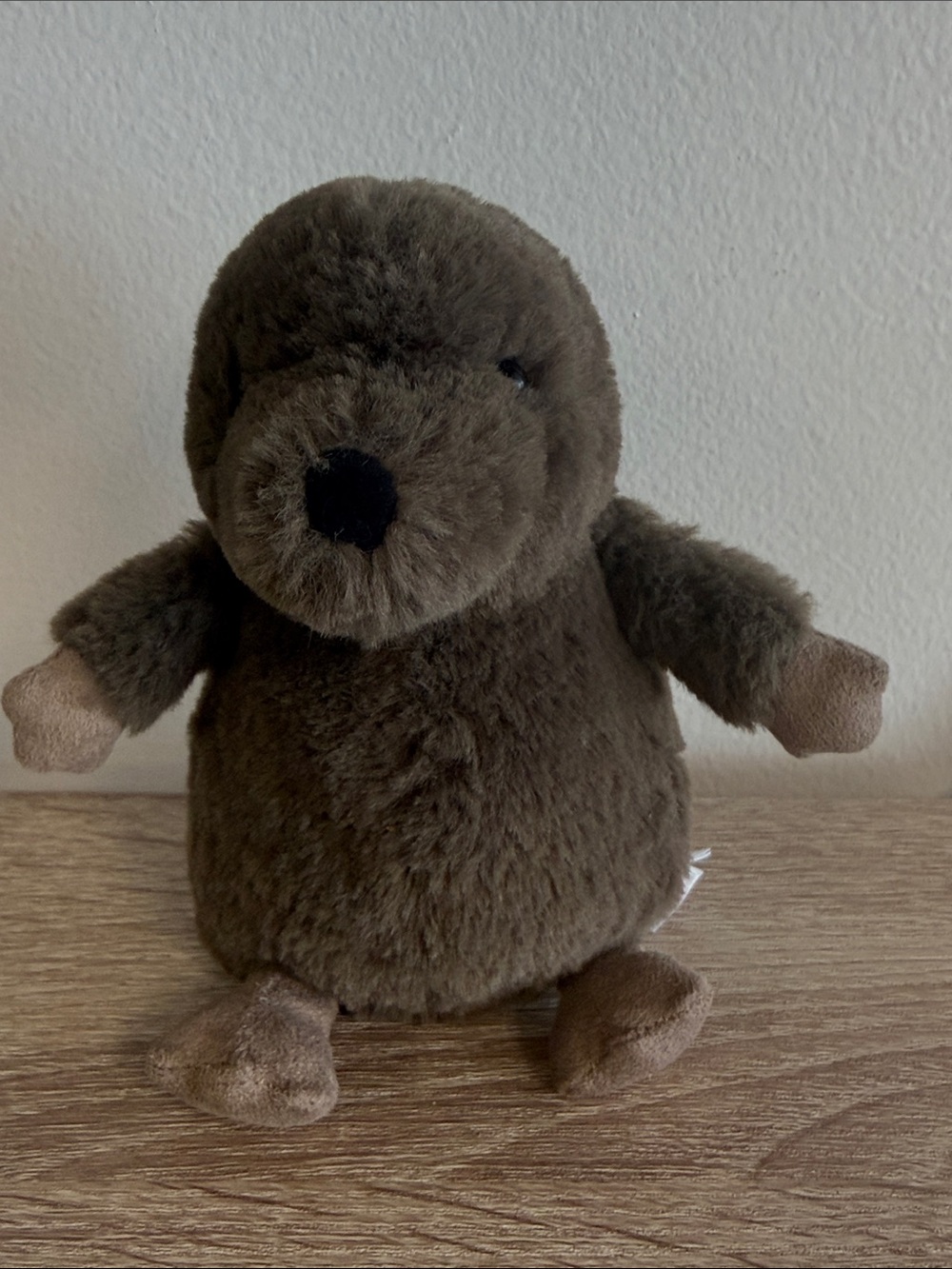 Jellycat Nippit Mole Rat Tiny Beanie Mole Plush Soft Toy Retired 5”